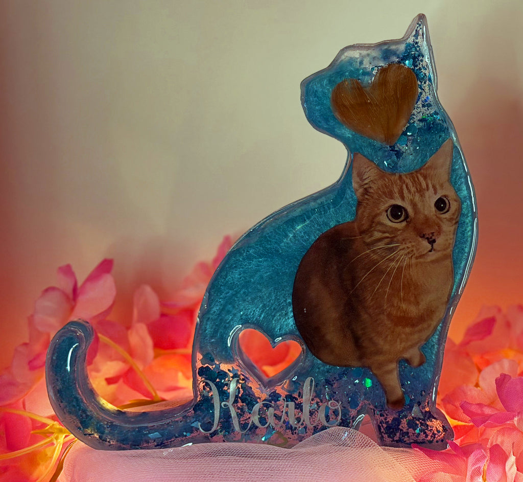 Sitzende Katze