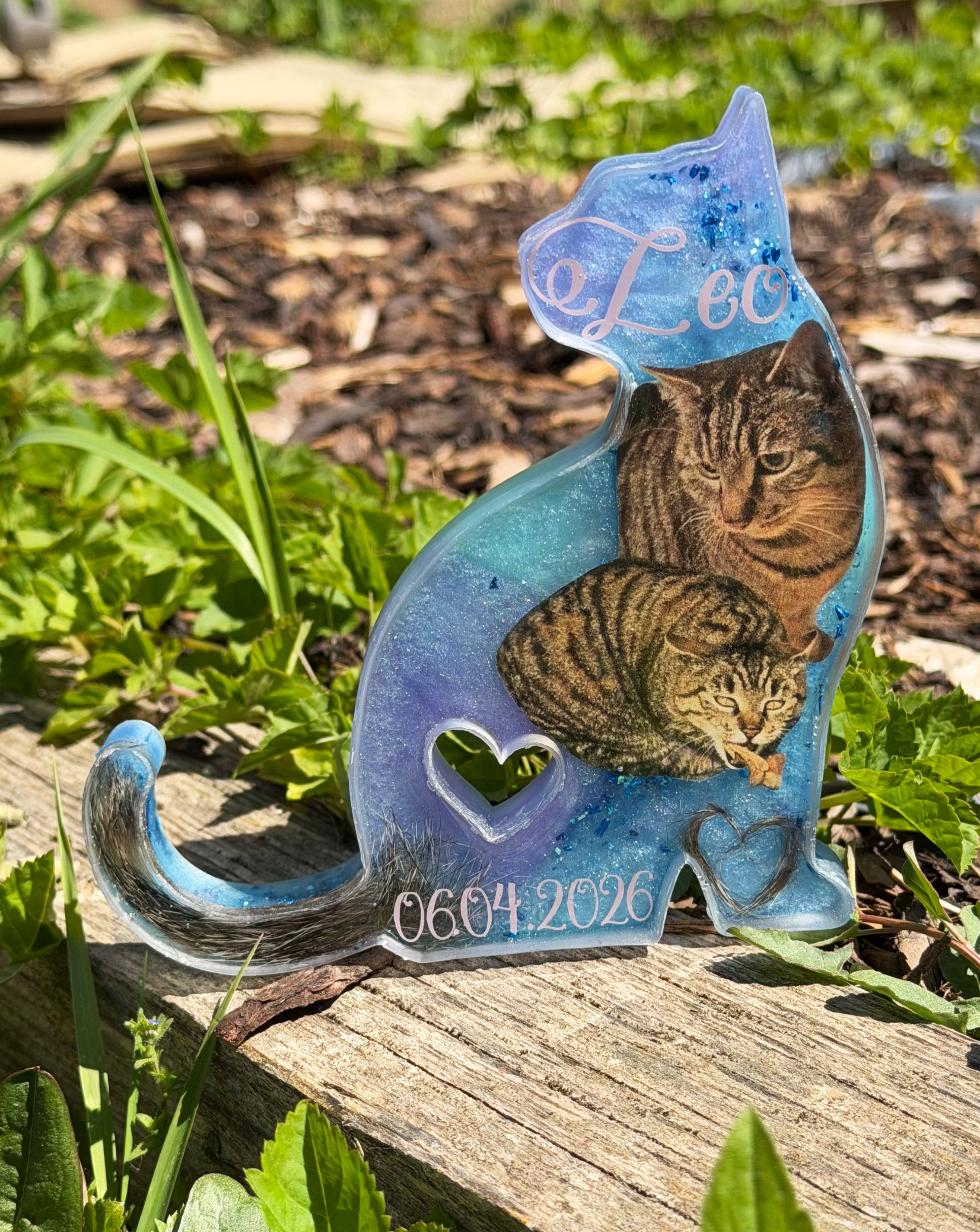 Sitzende Katze