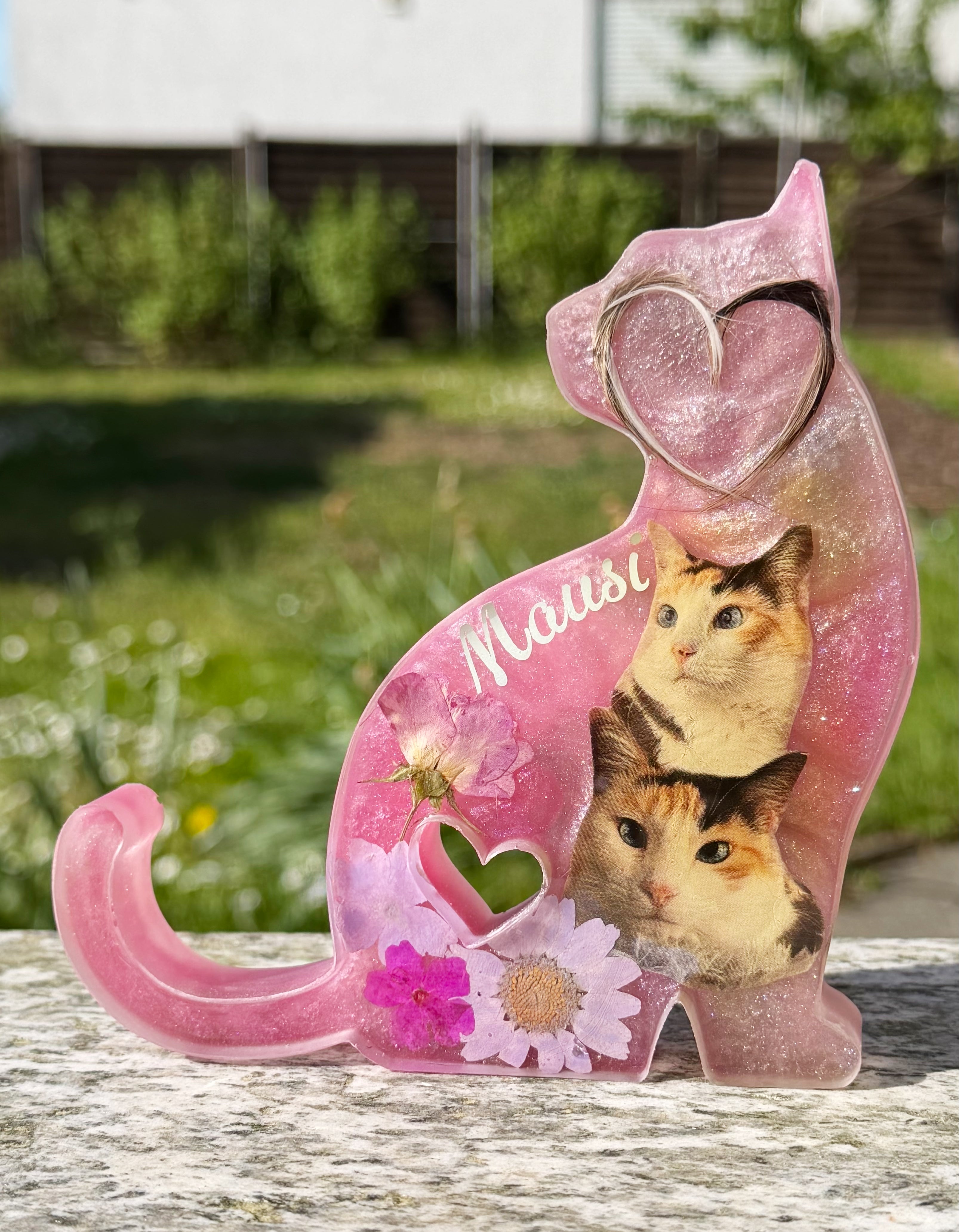 Sitzende Katze