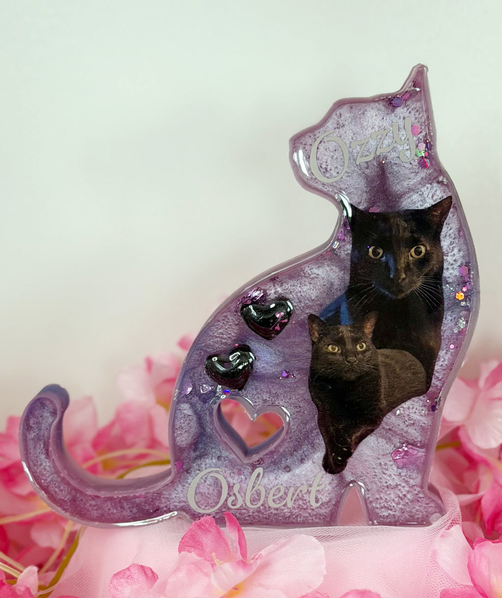 Sitzende Katze