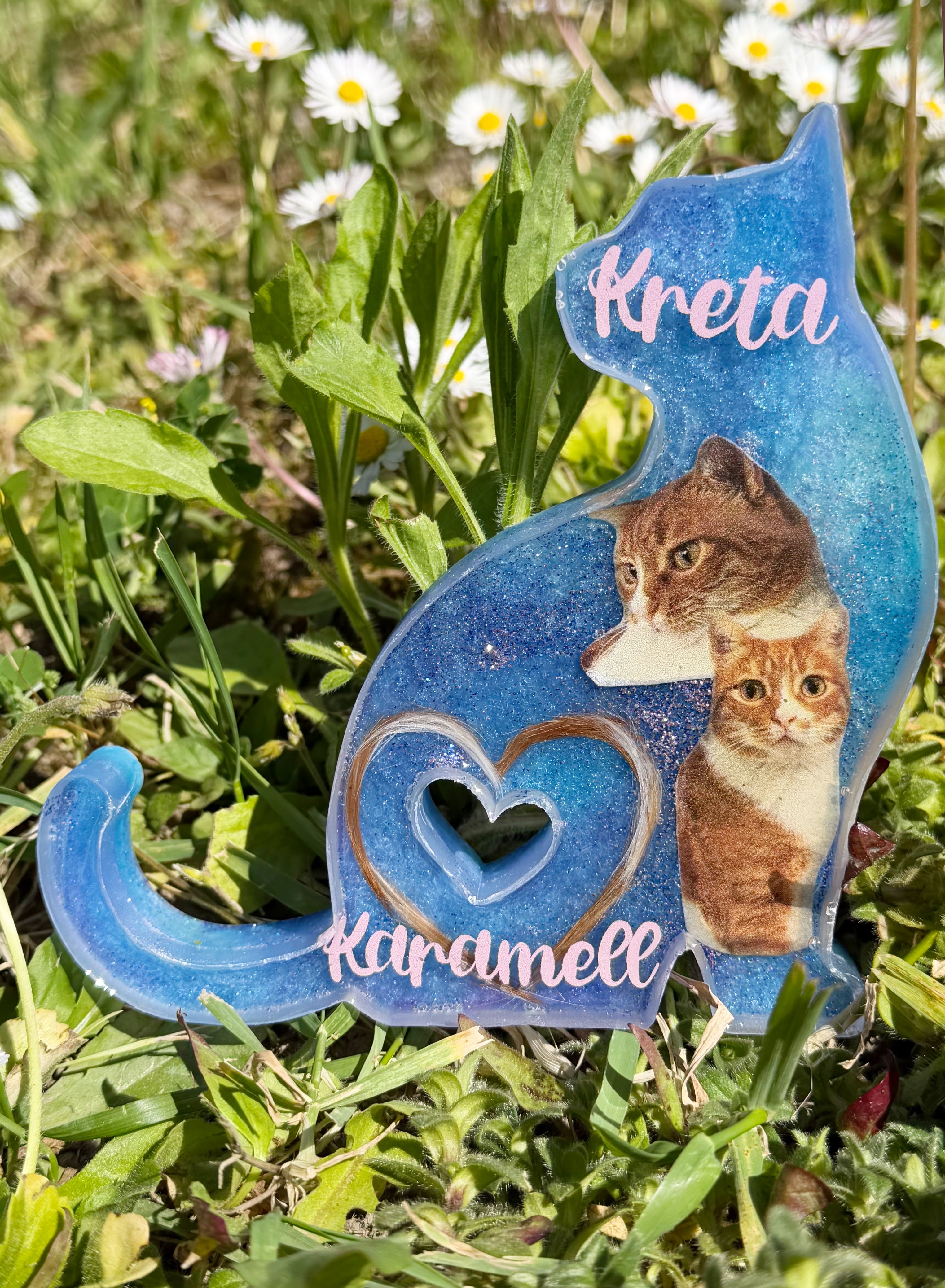 Sitzende Katze