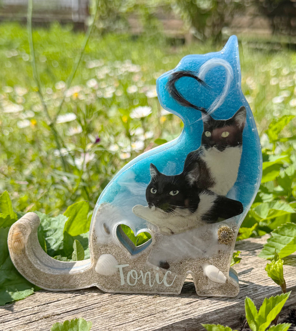 Sitzende Katze