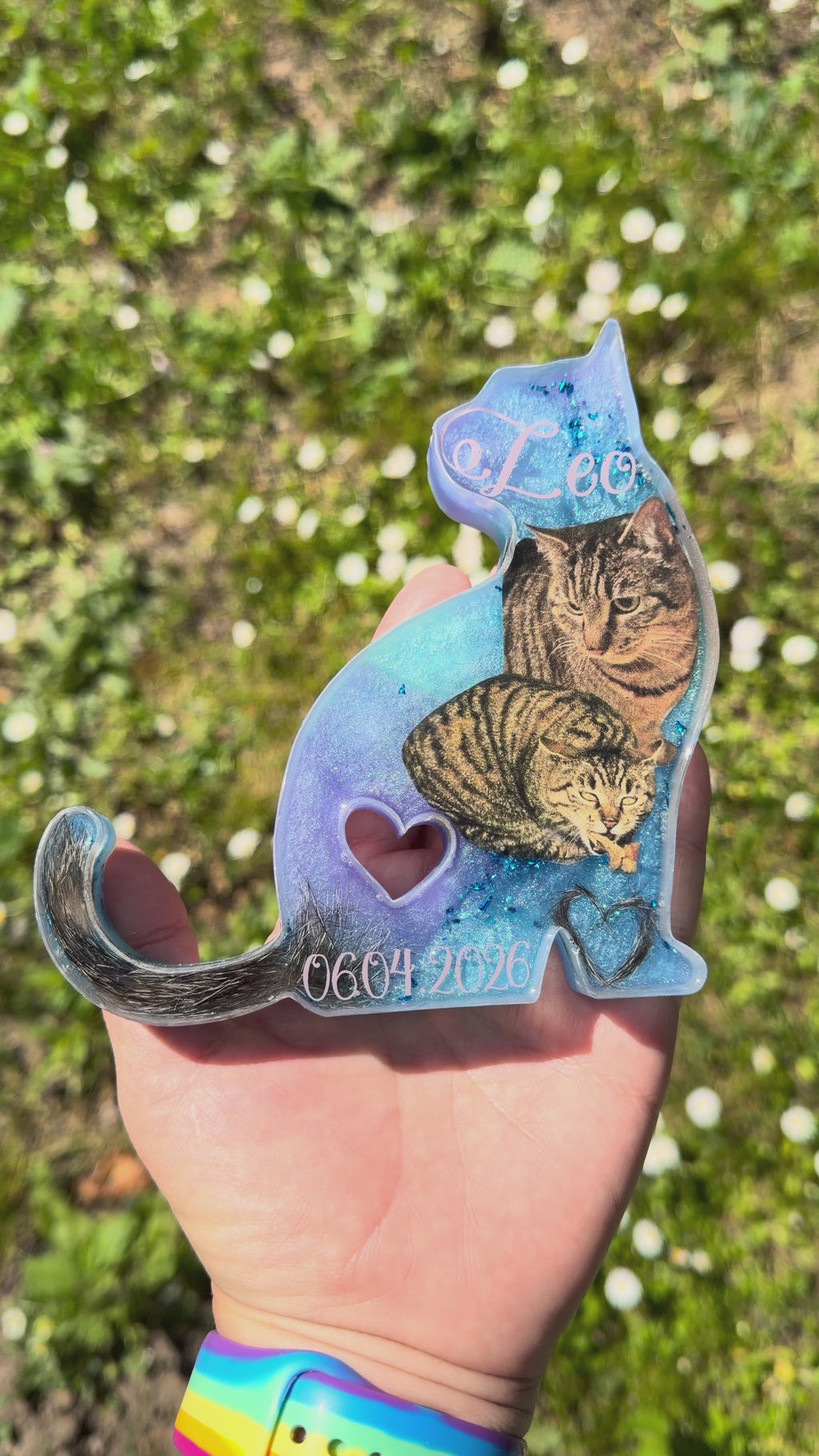 Sitzende Katze